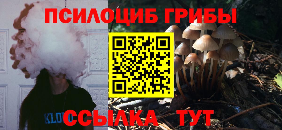Псилоцибиновые грибы прущие грибы Мытищи