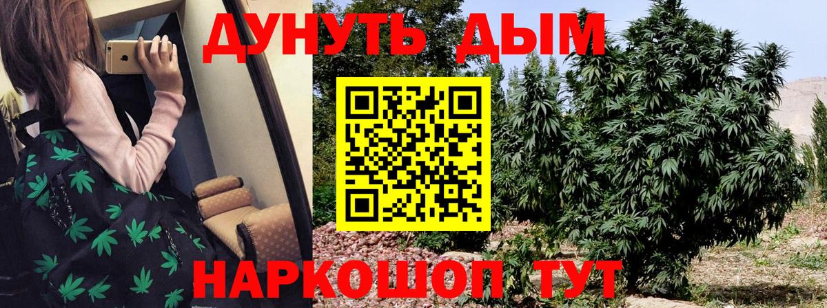 Бошки марихуана конопля Мытищи